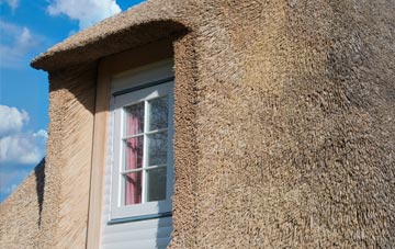 Upper Westholme thatch roof disadvantages